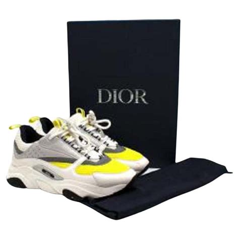 dior basket